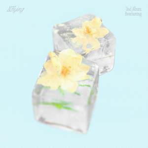 美女隐私的秘密网站
